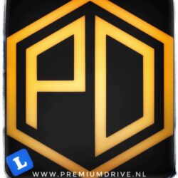 Rijschool Premium Drive